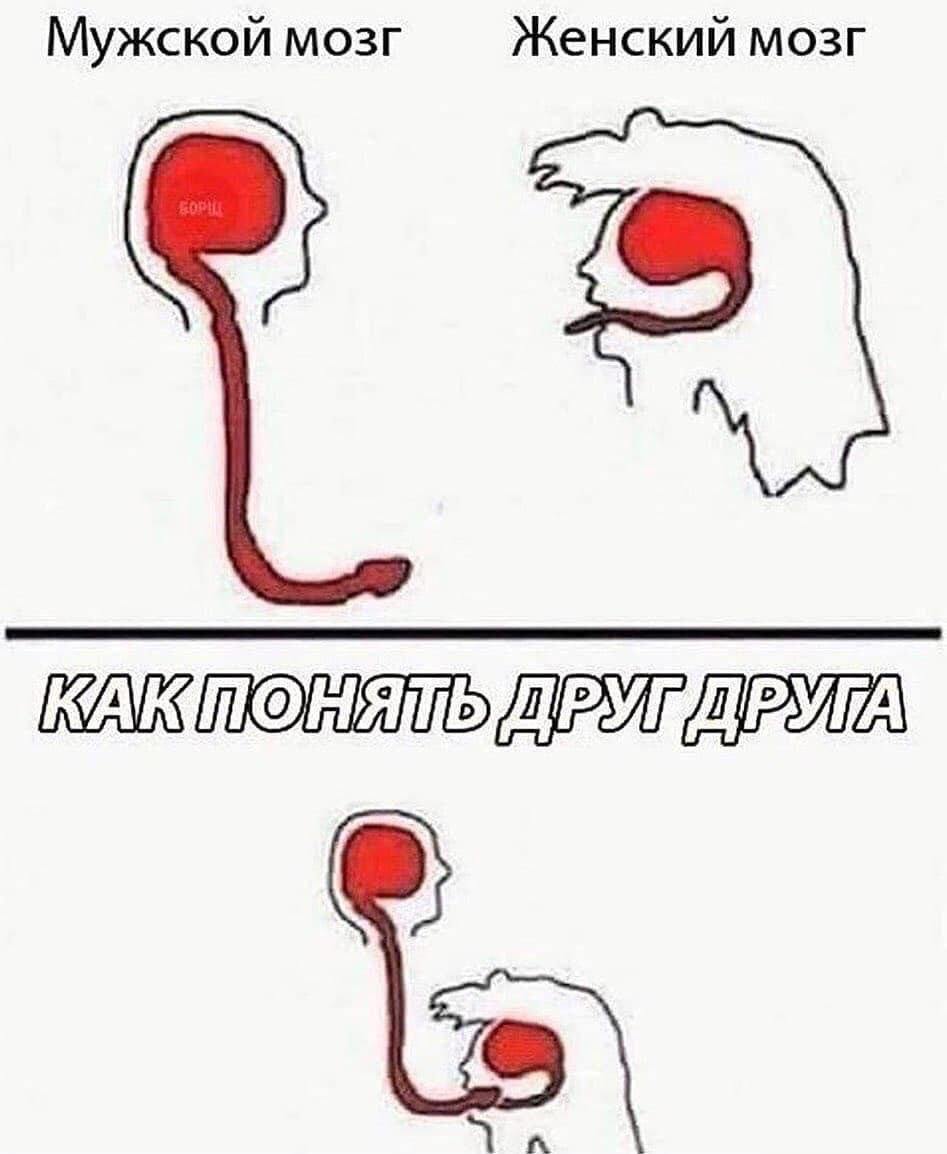 Прикол Секс Как Работает Двигатель Девушки Отсасывают Прикол Секс Как Работает Двигатель Девушки Отсасывают