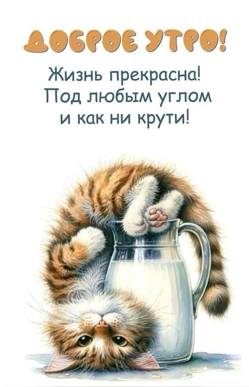 Новый день - новая проверка поебушки