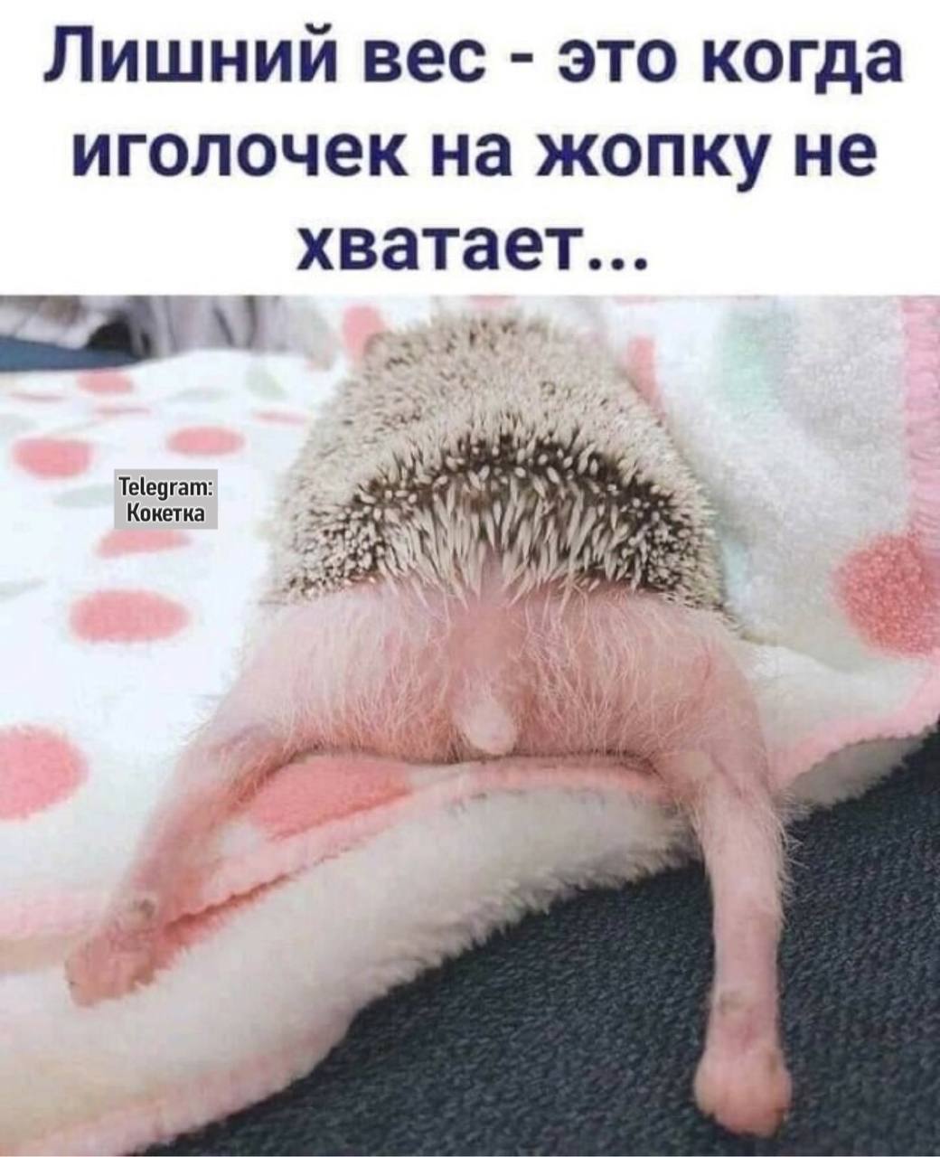 Попец которого нам не хватало на экранах